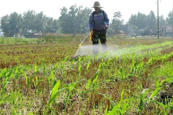 苗后除草剂适合的温度，通常为20-35℃