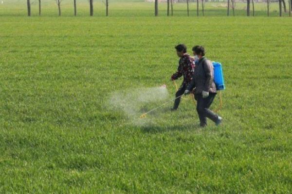 苗后除草剂适合的温度，通常为20-35℃