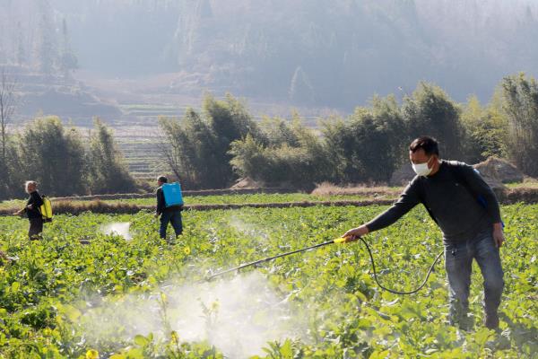 除草剂品牌推荐，推荐晖皇、中保、木石良缘等