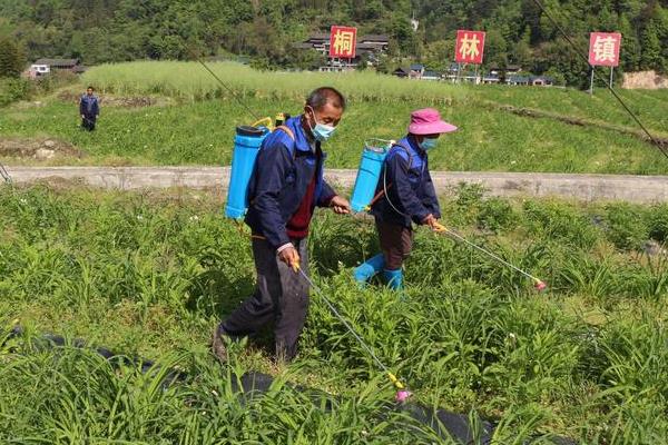 除草剂品牌推荐，推荐晖皇、中保、木石良缘等