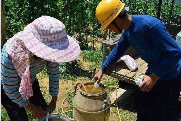 花生打完除草剂多少天可以打营养药，大概过7-10天左右就可以