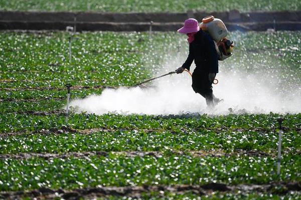 中耕除草有何作用，能起到提温保墒、促进微生物繁殖等效果