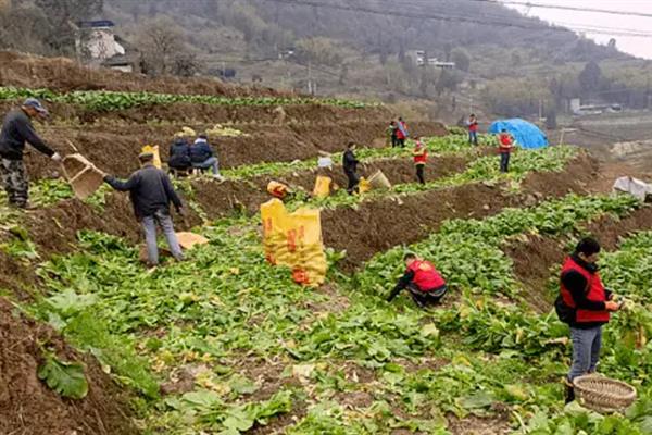 在农村开玩具店的成本，一般规模的店面每年需要3-5万元左右的房租