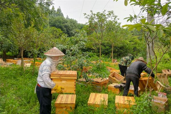 在农村开玩具店的成本，一般规模的店面每年需要3-5万元左右的房租