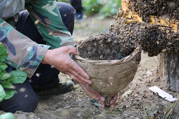 在农村开玩具店的成本，一般规模的店面每年需要3-5万元左右的房租