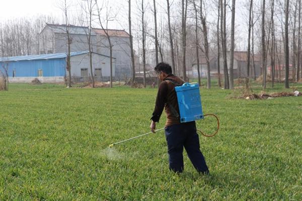 除草剂的适宜喷施时间，在杂草2-3叶期打药效果较好